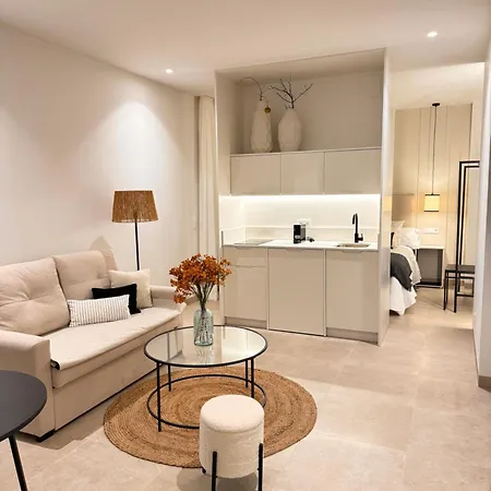 Casa Boutique Navarro Apartment *